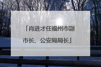 肖进才任福州市副市长、公安局局长