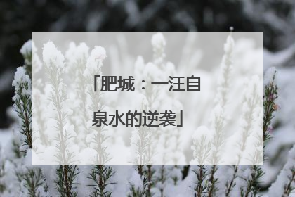 肥城：一汪自泉水的逆袭
