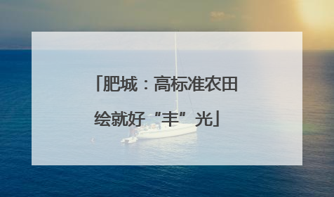 肥城：高标准农田绘就好“丰”光