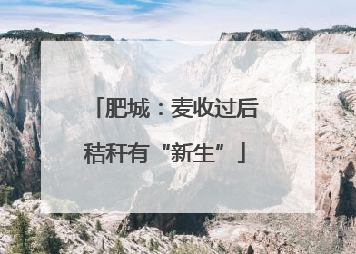 肥城：麦收过后秸秆有“新生”