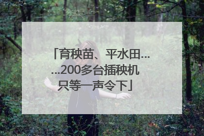 育秧苗、平水田……200多台插秧机只等一声令下