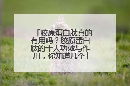 胶原蛋白肽真的有用吗？胶原蛋白肽的十大功效与作用，你知道几个