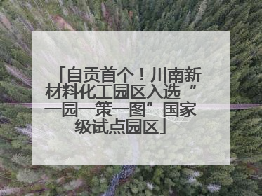 自贡首个！川南新材料化工园区入选“一园一策一图”国家级试点园区