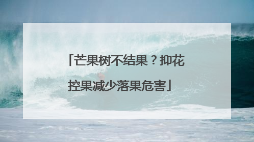 芒果树不结果？抑花控果减少落果危害