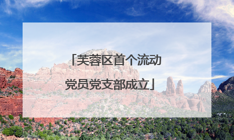 芙蓉区首个流动党员党支部成立