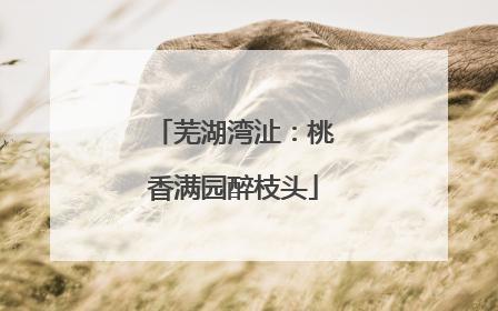 芜湖湾沚：桃香满园醉枝头