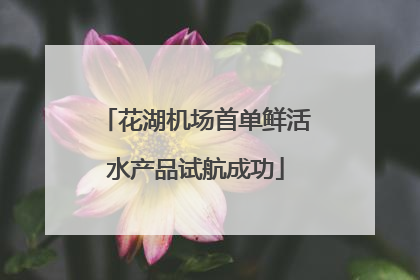 花湖机场首单鲜活水产品试航成功