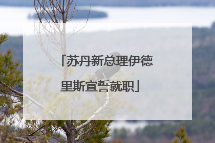 苏丹新总理伊德里斯宣誓就职
