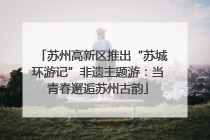苏州高新区推出“苏城环游记”非遗主题游：当青春邂逅苏州古韵