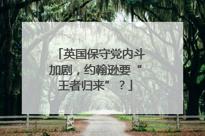 英国保守党内斗加剧，约翰逊要“王者归来”？