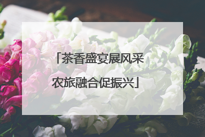 茶香盛宴展风采 农旅融合促振兴