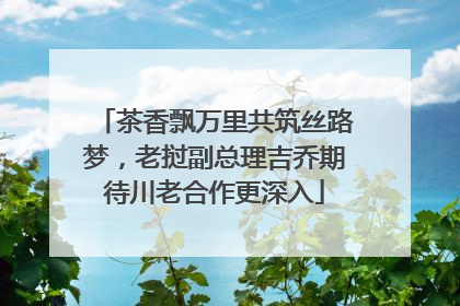 茶香飘万里共筑丝路梦，老挝副总理吉乔期待川老合作更深入