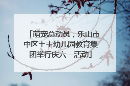 萌宠总动员，乐山市中区土主幼儿园教育集团举行庆六一活动