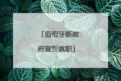 葡萄牙新政府宣誓就职