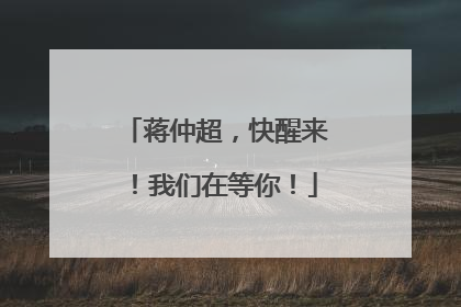 蒋仲超，快醒来！我们在等你！