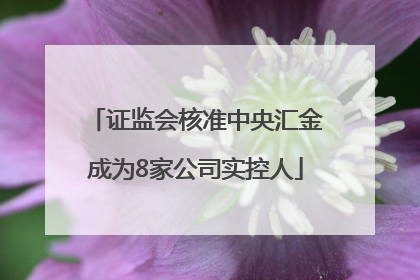 证监会核准中央汇金成为8家公司实控人