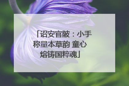 诏安官陂：小手称量本草韵 童心熔铸国粹魂