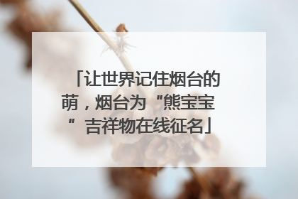 让世界记住烟台的萌，烟台为“熊宝宝”吉祥物在线征名