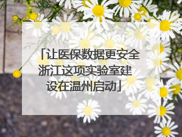 让医保数据更安全 浙江这项实验室建设在温州启动