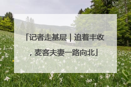记者走基层｜追着丰收，麦客夫妻一路向北