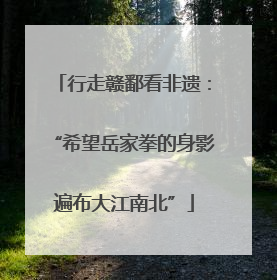 行走赣鄱看非遗：“希望岳家拳的身影遍布大江南北”