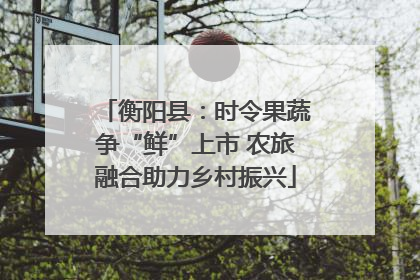 衡阳县：时令果蔬争“鲜”上市 农旅融合助力乡村振兴