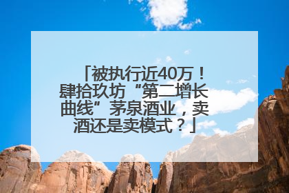 被执行近40万！肆拾玖坊“第二增长曲线”茅泉酒业，卖酒还是卖模式？