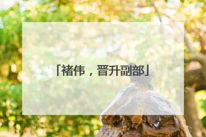 褚伟，晋升副部