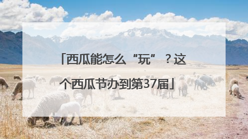 西瓜能怎么“玩”？这个西瓜节办到第37届
