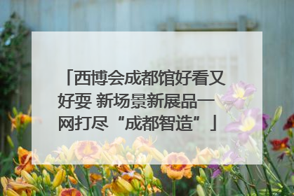 西博会成都馆好看又好耍 新场景新展品一网打尽“成都智造”