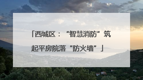 西城区：“智慧消防”筑起平房院落“防火墙”