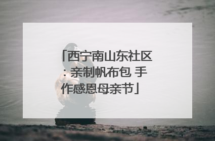 西宁南山东社区：亲制帆布包 手作感恩母亲节