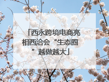 西永跨境电商亮相西洽会“生态圈”越做越大