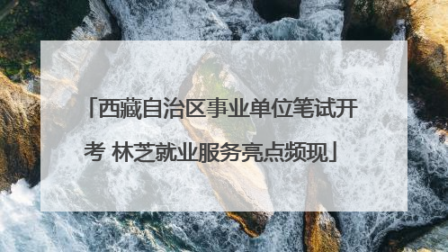 西藏自治区事业单位笔试开考 林芝就业服务亮点频现