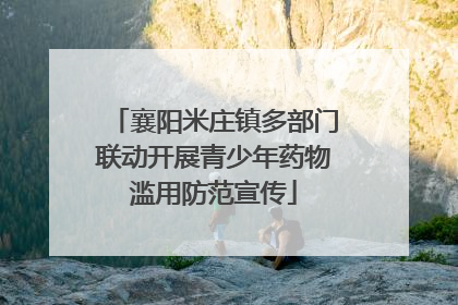襄阳米庄镇多部门联动开展青少年药物滥用防范宣传