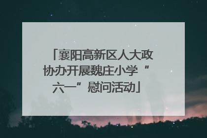襄阳高新区人大政协办开展魏庄小学“六一”慰问活动