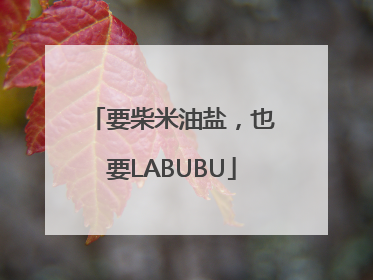 要柴米油盐，也要LABUBU