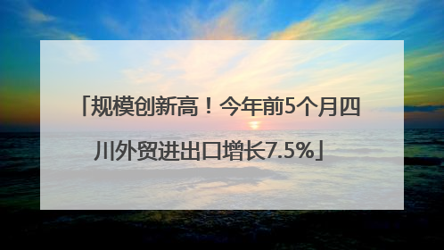 规模创新高！今年前5个月四川外贸进出口增长7.5%