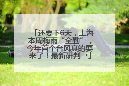 还要下6天，上海本周梅雨“全勤”，今年首个台风真的要来了！最新研判→