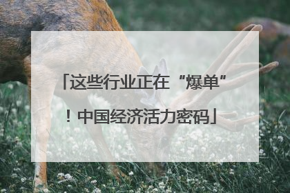 这些行业正在“爆单”！中国经济活力密码