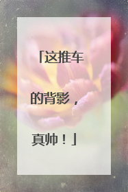 这推车的背影，真帅！