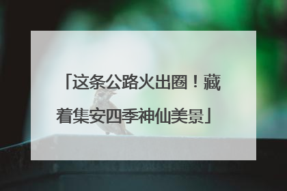 这条公路火出圈！藏着集安四季神仙美景