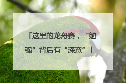 这里的龙舟赛，“勉强”背后有“深意”
