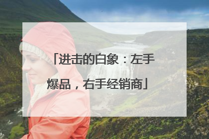 进击的白象：左手爆品，右手经销商