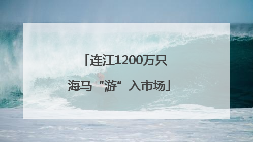 连江1200万只海马“游”入市场