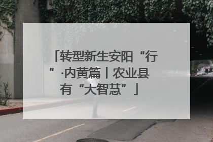 转型新生安阳“行”·内黄篇丨农业县有“大智慧”