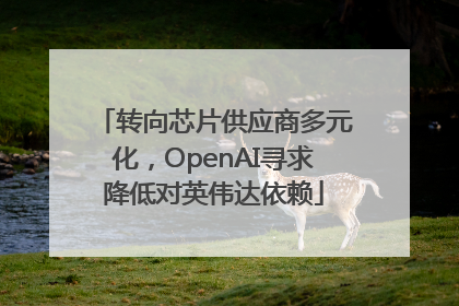 转向芯片供应商多元化，OpenAI寻求降低对英伟达依赖