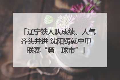 辽宁铁人队成绩、人气齐头并进 沈阳铸就中甲联赛“第一球市”