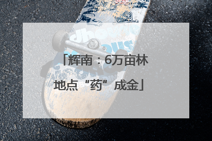 辉南：6万亩林地点“药”成金
