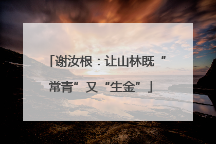 谢汝根：让山林既“常青”又“生金”